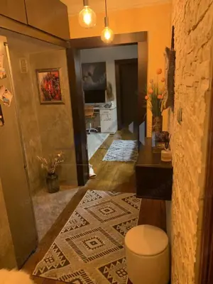 Apartament 2 camere Pacurari - Mimoza - imagine 3