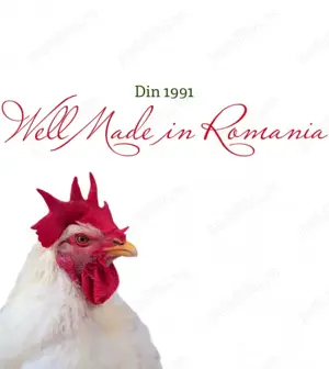 Muncitor necalificat