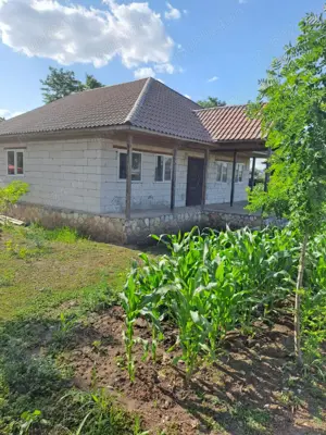 Casa de vanzare - imagine 5