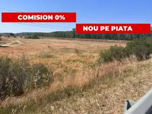 Teren agricol cu potential – 24.834 mp, zona Podul Jiului