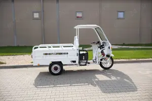 Tricicletă Electrică GL35000 - imagine 3