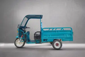 Tricicletă Electrică GL35000