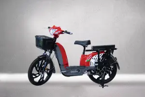 Moped Electric Geeli Util 2
