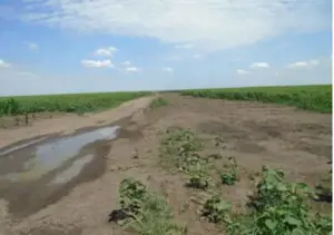 Teren extravilan,Sat Ciupercenii Noi, jud. Dolj