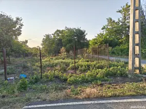 Teren Livedea Ialomita - imagine 5