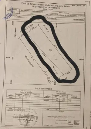 Teren vanzare Copaciu Ghimpati  - imagine 2