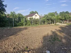 Teren vanzare Copaciu Ghimpati  - imagine 3