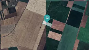 Teren arabil de 4,4Ha în Șimand - imagine 2