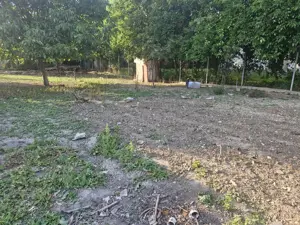 Teren vanzare Copaciu Ghimpati  - imagine 10