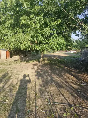 Teren vanzare Copaciu Ghimpati  - imagine 4