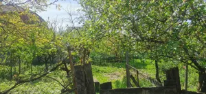 Vand casa la super pret!!! - imagine 8