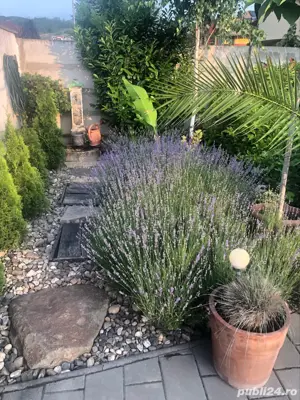 casa de vanzare - imagine 7