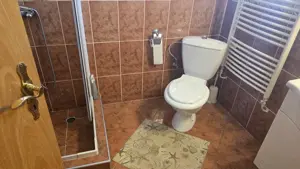 Vand proprietate in Deva. zona Ceangai, compusa din 2 case de locuit, constructii din anul 2003  - imagine 12