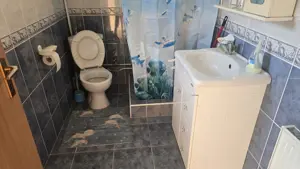 Vand proprietate in Deva. zona Ceangai, compusa din 2 case de locuit, constructii din anul 2003  - imagine 20