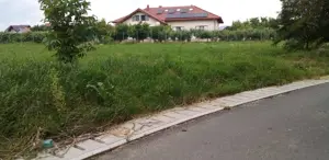 Persoana fizica vand teren intravilan curtii constructii in oras salcea judet suceava strada paieni