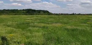 Teren intravilan Str.Aeroportului sect 1 Bucuresti - imagine 7