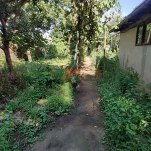 Vanzare teren Colentina - Moroeni