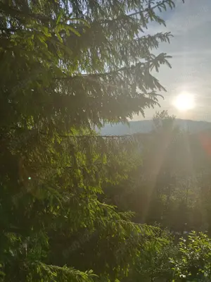  Cabana de inchiriat, liniste si relaxare, distractie din plin! - imagine 5