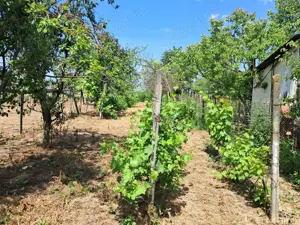Casa  de  vinzare  cu  teren   de 2636 mp  ieftina  la  Gherghita   pozitie excelenta  pentru  vila - imagine 10