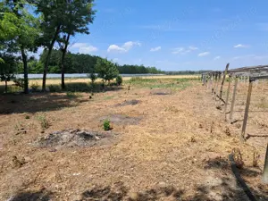 Casa  de  vinzare  cu  teren   de 2636 mp  ieftina  la  Gherghita   pozitie excelenta  pentru  vila - imagine 9