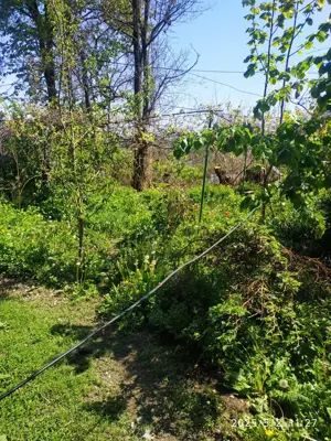 Pucioasa ,Teren si casa 2 camere