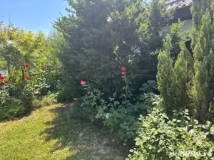 vand casa in Sag 260000 euro - imagine 13