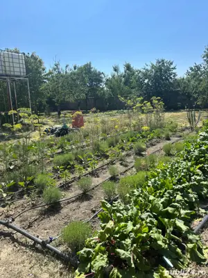 vand casa in Sag 260000 euro - imagine 17