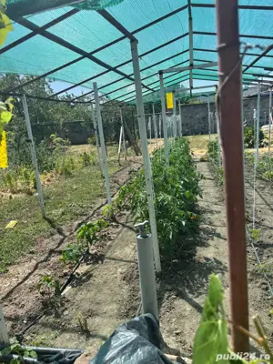 vand casa in Sag 260000 euro - imagine 19