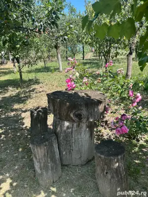 vand casa in Sag 260000 euro - imagine 18