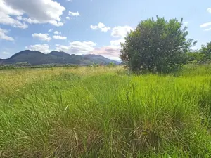 COMISION 0%! Teren 712mp Sacele / Strada Postavarului