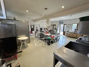 SAD de vanzare in EXCLUSIVITATE, 392 mp, 2693 mp teren, Sacalaz - imagine 9