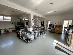 SAD de vanzare in EXCLUSIVITATE, 392 mp, 2693 mp teren, Sacalaz - imagine 8