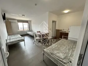 SAD de vanzare in EXCLUSIVITATE, 392 mp, 2693 mp teren, Sacalaz - imagine 14