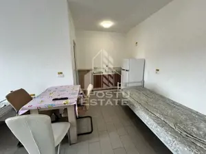 SAD de vanzare in EXCLUSIVITATE, 392 mp, 2693 mp teren, Sacalaz - imagine 15