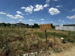 Lot de vânzare, comuna Berceni - imagine 3