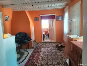 casă de vânzare sat Dedulești jud Brăila