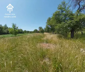 Casă de vânzare în Temerești, județul Timiș - imagine 5