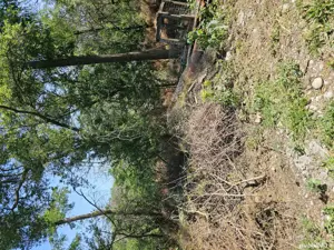 teren milcov vale in padure 