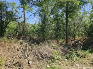 teren milcov vale in padure  - imagine 2