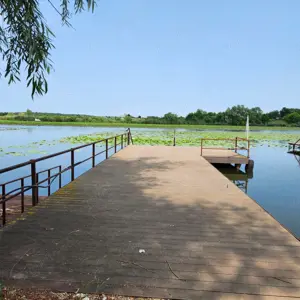 Imobil cu deschidere lac Snagov - imagine 2