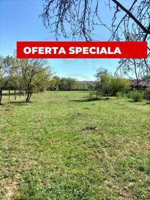 Teren intravilan de vânzare în Berevoiești, Argeș – 2542 mp -raul Bratia!