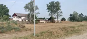 Teren zona Falastoaca (Comana)