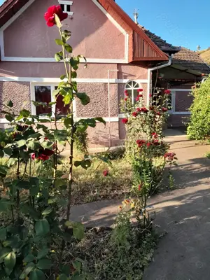 Casa de vanzare - imagine 8