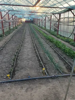 Vand sera (metal+sticla)