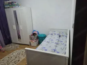 Apartament 2 camere, decomandat, 51 mp, ideal pentru investitie - Lipovei  - imagine 3