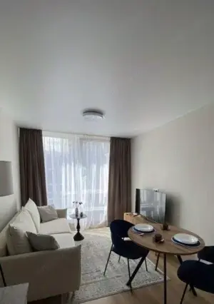 Apartament 2 camere de inchiriat in zona Take Ionescu - imagine 5