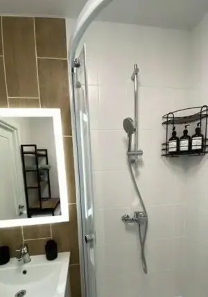 Apartament 2 camere de inchiriat in zona Take Ionescu - imagine 2