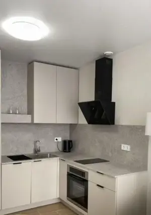 Apartament 2 camere de inchiriat in zona Take Ionescu - imagine 3