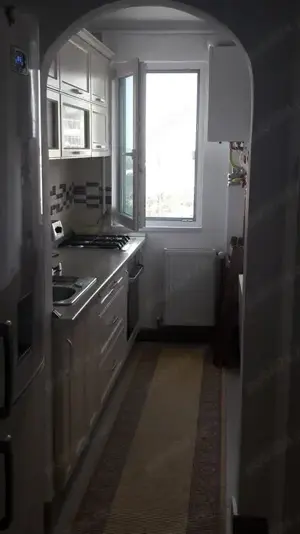 Ap select cu termoteca Vlaicu Stupilor ocupabil imediat - imagine 5