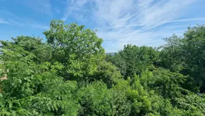 Vand vila situata in Pitesti, impartita in 8 apartamente - imagine 12